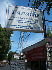 Panache1